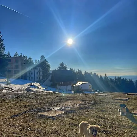 Apartman Apartman Moon Vlasic *